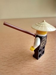 Sensei Wu Rücken