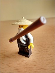 Sensei Wu