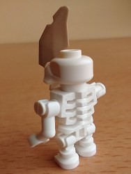 Ninjago Skulkin Rücken