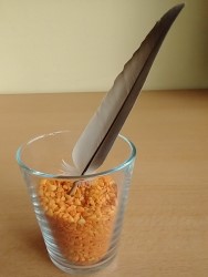 Feder im Glas mit orangen Steinen
