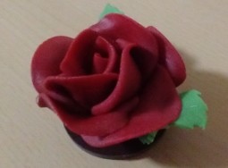 Marzipanrose